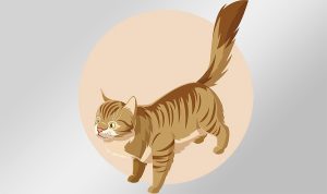 4 con giáp xui xẻo năm Quý Mão 2023 theo sao Kế Đô 13