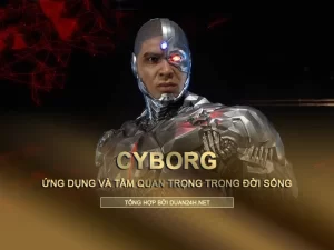 Tầm quan trọng của Cyborg và Ứng dụng của nó trong cuộc sống hiện đại 13