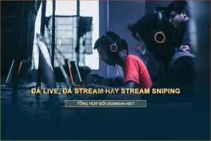 Tìm hiểu về Đá Live: Nguyên nhân, Hậu quả và Cách xử lý hiệu quả 12