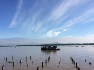 Khám phá Khu Di tích Bãi Cọc Bạch Đằng: Điểm đến chứng nhận sự kiện lịch sử hào hùng 2