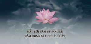 Sau tang lễ tinh tế, ý nghĩa sâu sắc nhất: 100+ lời cảm ơn 3