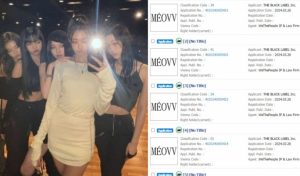 MÉOVV: Tên nhóm nhạc nữ mới của THEBLACKLABEL - Ý nghĩa của cái tên này là gì? 29