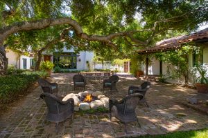 "Ẩn mình trong khu rừng cây xanh của nữ hoàng truyền thông" 1