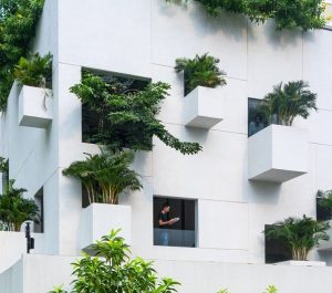 Hòn ngọc xanh giữa lòng Sài Gòn: Ngôi nhà nắng gió và cây xanh 3