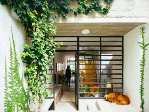 Lấy sáng cho ngôi nhà có mặt tiền hẹp chỉ 3m: Giải pháp đột phá 55