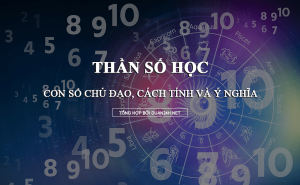 Tìm hiểu về Con Số Chủ Đạo trong Thần Số Học: Ý nghĩa, cách tính và ứng dụng 21