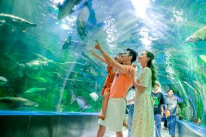 Khám phá Viện Hải Dương Học: Đất nước sinh vật biển phong phú nhất thế giới 23