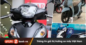 Những mẫu xe tay ga giá dưới 30 triệu dành cho nữ 2024 1