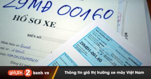 Thủ tục đăng ký biển số xe máy điện mới nhất 2024 3