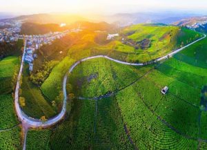 "Khám phá bản đồ du lịch Đà Lạt đầy đủ thông tin hữu ích cho du khách" 16