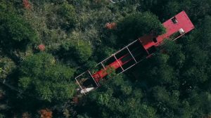 Homestay như đoàn tàu giữa rừng thông cho các cặp tình nhân đổi gió 1