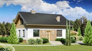 Nhà cấp 4 chữ I mái tôn chi phí rẻ vẫn sở hữu không gian đẳng cấp 3