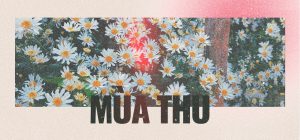 Thơ thả thính mùa thu lãng mạn nhất: 888+ câu nói hay về mùa thu 1