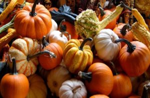 10 loại rau quả đã thay đổi gần như hoàn toàn so với tổ tiên của chúng 2