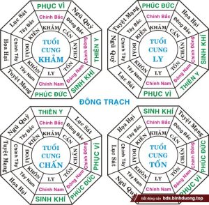 Tầm quan trọng của bát cung trong phong thủy và cách chọn hướng nhà phù hợp theo tuổi 2