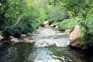 "Khám phá cảnh đẹp tuyệt vời tại suối Đá Giăng - điểm du lịch hot mới tại Nha Trang" 7