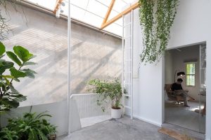 Biến nhà bỏ hoang thành khu vườn xanh rợp nắng trong hẻm nhỏ 1