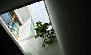 Khu nhà lồng đèn đầy ánh sáng và thiên nhiên giữa lòng hẻm 13