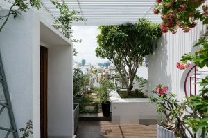 Những Điều Đặc Biệt Trong Ngôi Nhà Phố: Lối Thiết Kế Với Cây Xanh, Hồ Nước và Sự Thấm Tháp Của Gió Trời 11