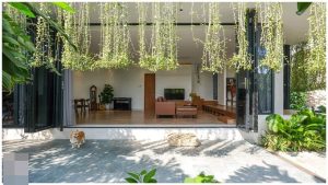 "Tận hưởng không gian xanh mát trong ngôi nhà nhiệt đới với hệ thống dây leo phủ kín" 3