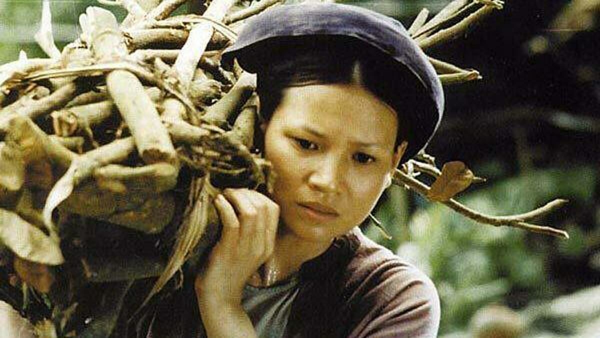 "Top 15 bộ phim không thể bỏ lỡ về giới mà bạn nên xem trong tuần này" 1