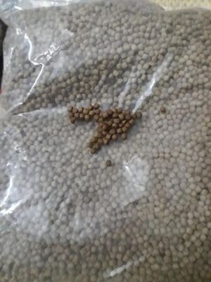 Thành phần dinh dưỡng có trong cám King Feed giúp cá koi phát triển khỏe mạnh