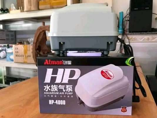 Máy sủi khí Atman HP 8000 cho hồ cá koi, đảm bảo cung cấp oxy đầy đủ