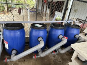 Thiết Kế Thi Công Hệ Thống Lọc Thùng Hồ Koi 3 Thùng Phi Nhựa Hiệu Quả & Tiết Kiệm 13