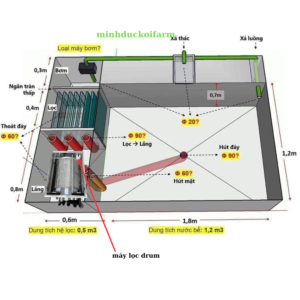 Bí Quyết Xây Dựng Hệ Thống Lọc Hồ Cá Koi Hoàn Hảo: Từ Thiết Kế Đến Thi Công và Phụ Kiện 4