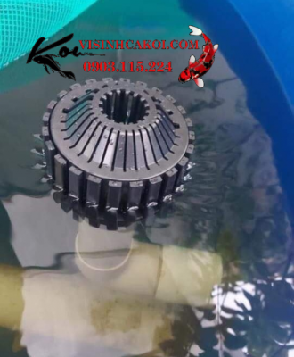 hút mặt răng lamela 115 với thiết kế độc đáo