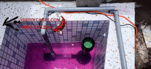 Bộ Hút Mặt Hút Đáy Hồ Koi: Giải Pháp Tối Ưu Cho Hồ Cá Sạch Đẹp 5