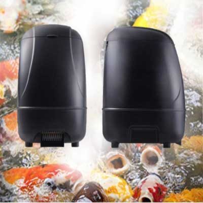 Máy cho cá Koi ăn tự động