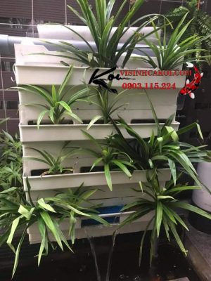 Baki lọc hồ Koi 3 tầng giúp lọc nước hồ cá trong veo