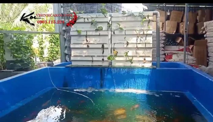Baki lọc nước hồ Koi kết hợp thùng lắng