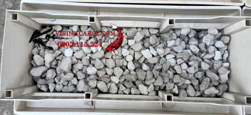 Đá lông vũ giúp lọc nước và tạo môi trường sống cho vi sinh vật có lợi