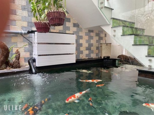 Baki composite trắng 3 tầng giúp lọc nước hiệu quả cho hồ cá