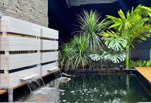 Baki composite trắng giúp tăng tính thẩm mỹ cho hồ cá Koi