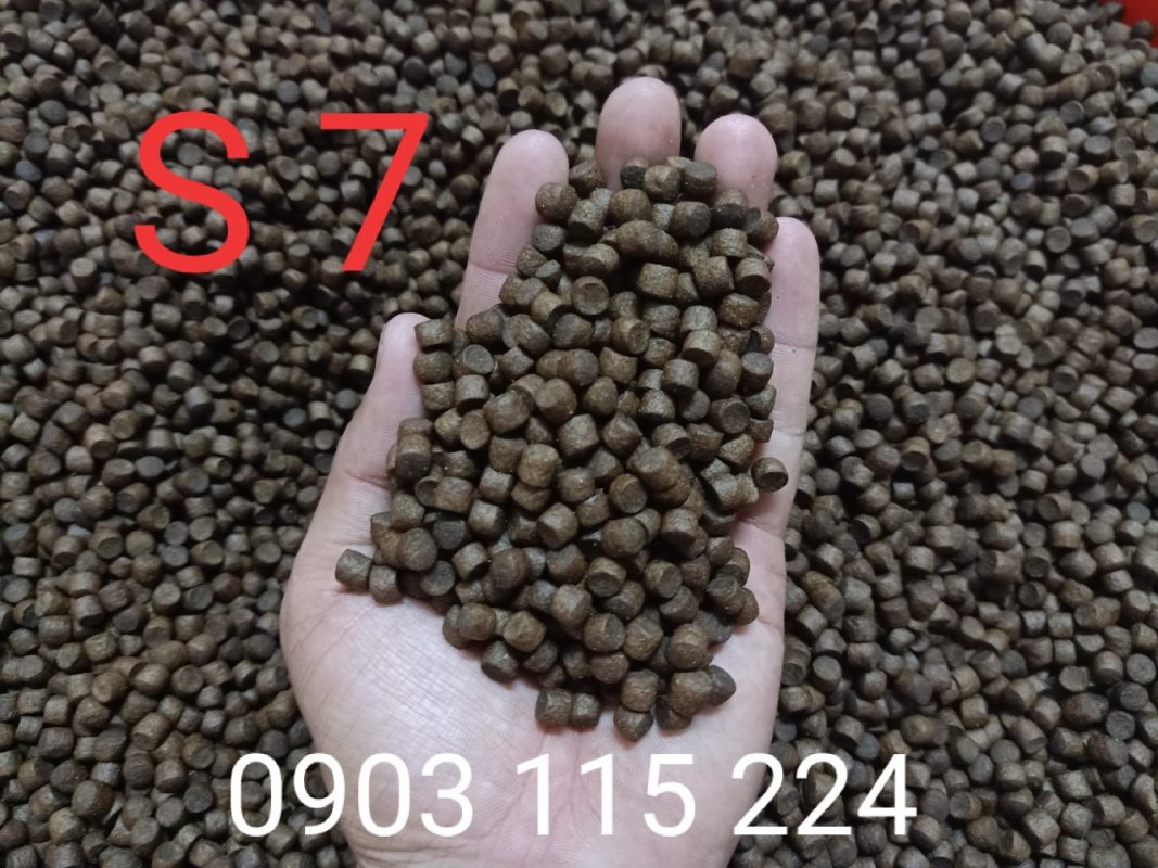 Size 7 cám Stella phù hợp cá koi 35-60cm